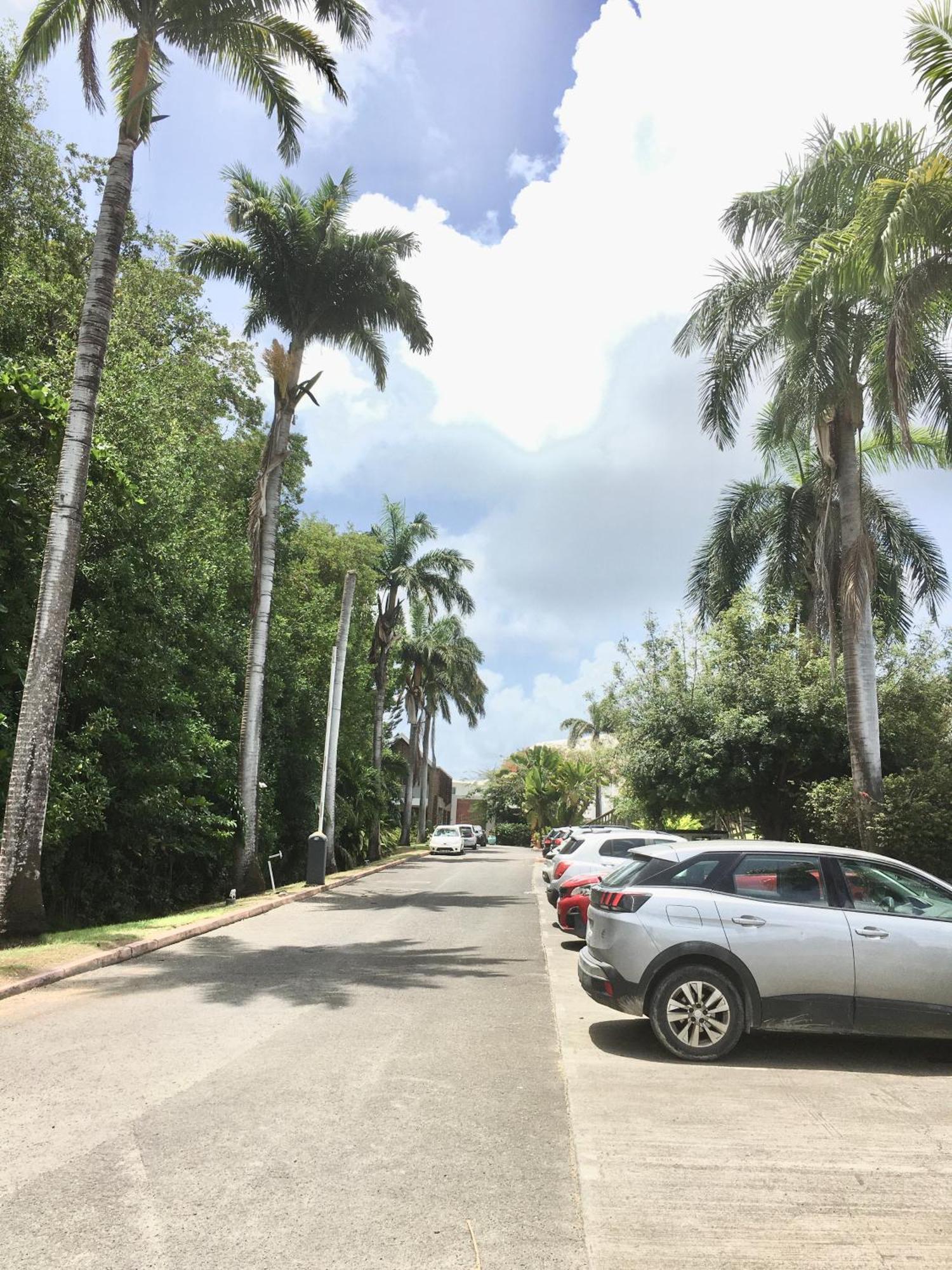 Appartement St Francois Manganao Guadeloupe Saint-Francois  Ngoại thất bức ảnh