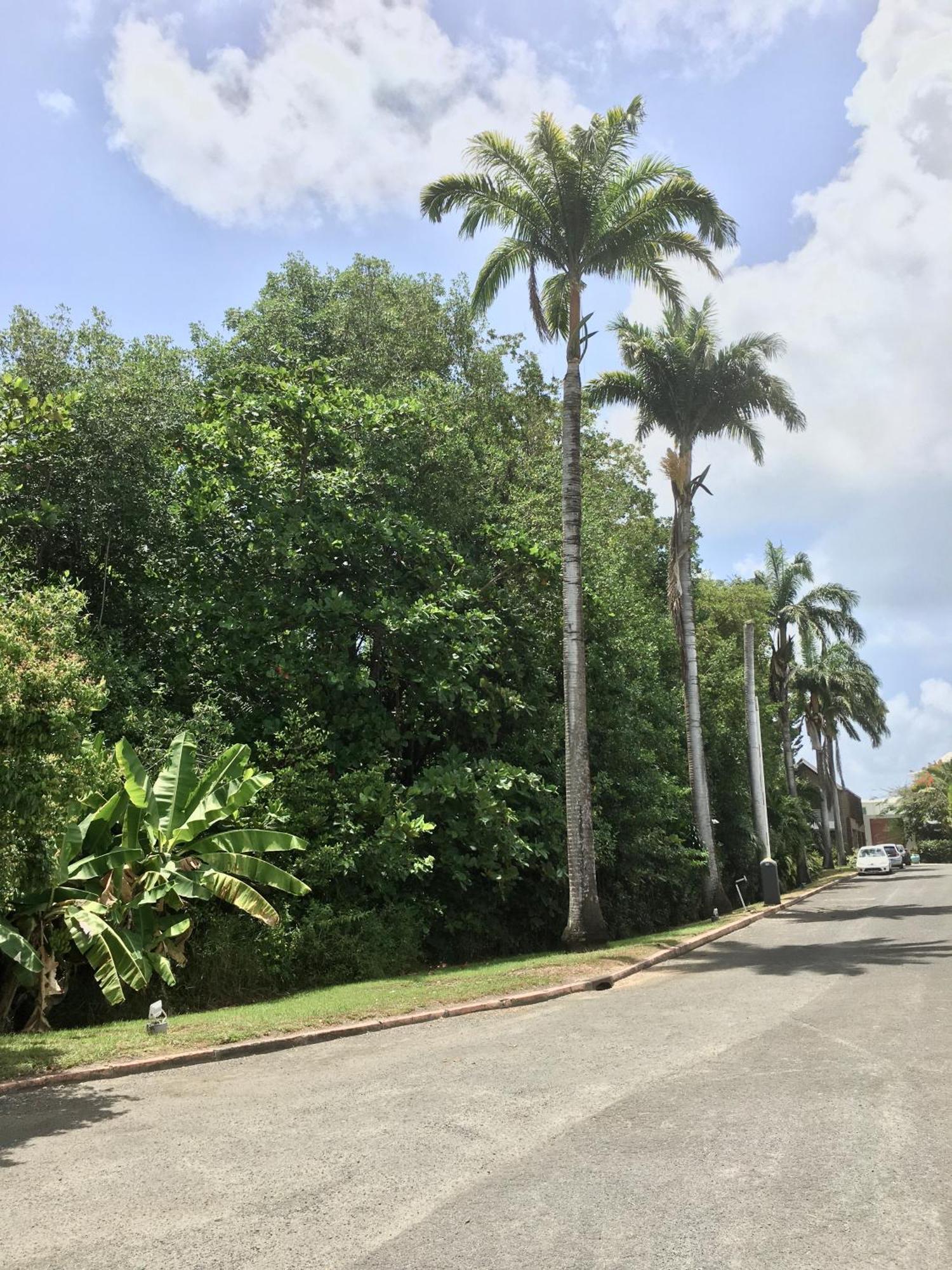 Appartement St Francois Manganao Guadeloupe Saint-Francois  Ngoại thất bức ảnh